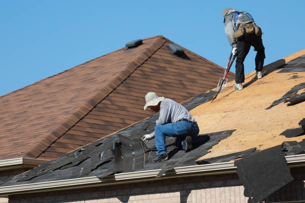 Best Rubber Roofing (EPDM, TPO)  in Union City, MI