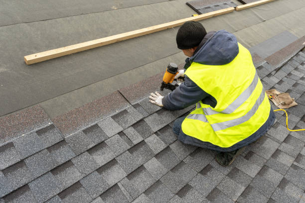 Best Asphalt Shingle Roofing  in Union City, MI