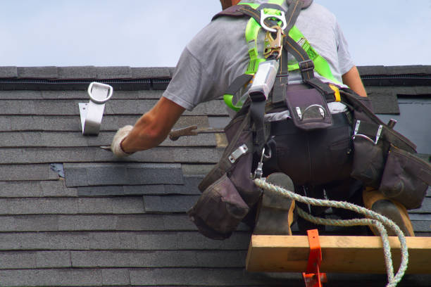 Best Storm Damage Roof Repair  in Union City, MI