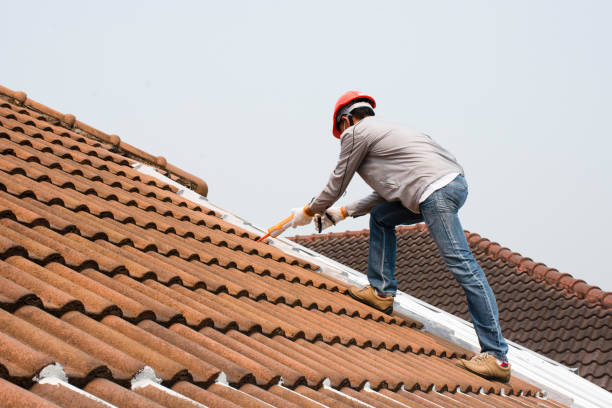 Steel Roofing in Union City, MI