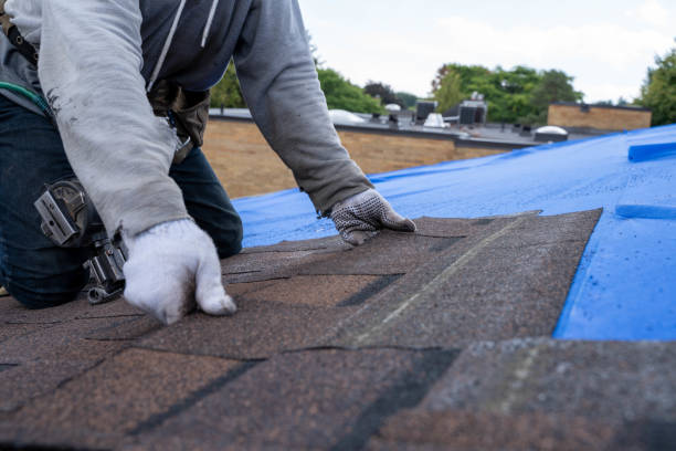 Best Flat Roofing  in Union City, MI