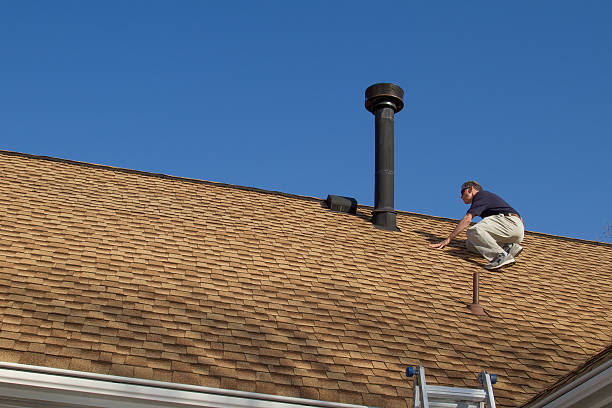 Best Rubber Roofing (EPDM, TPO)  in Union City, MI